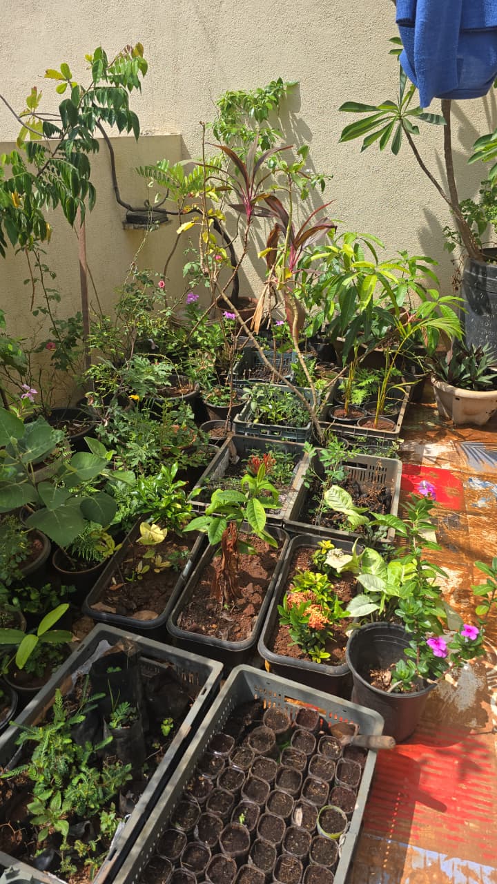 AGROWA nursery photo