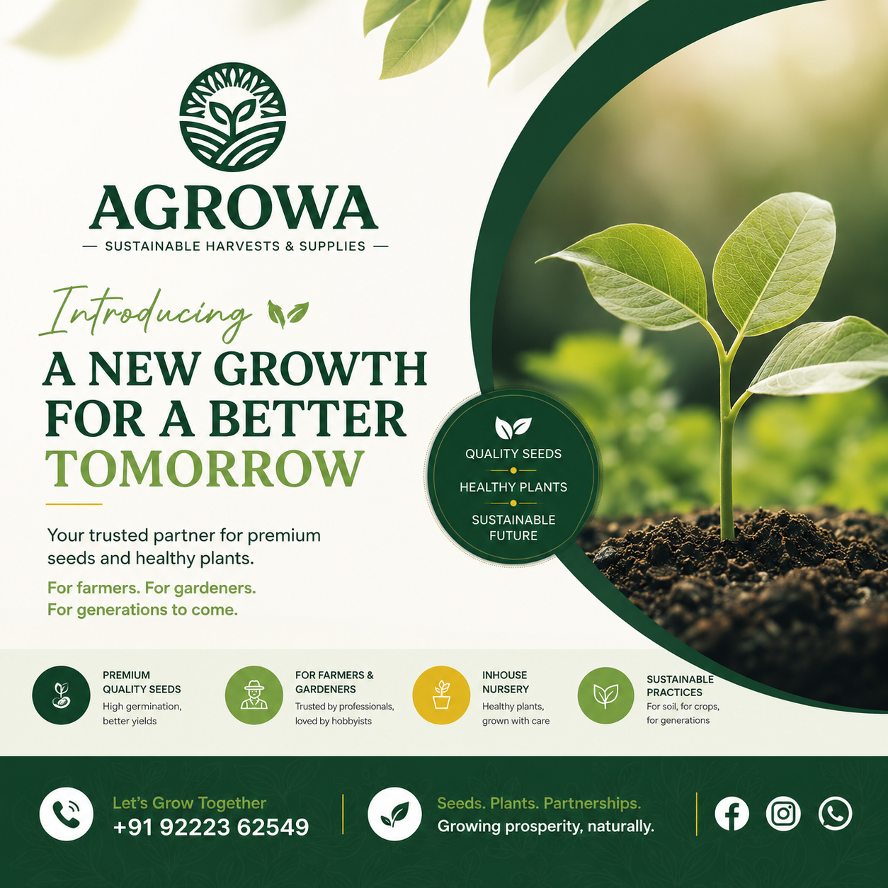 AGROWA seedlings growing in rich soil